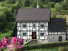Haus Ruhrquelle with terrace and garage near Winterberg